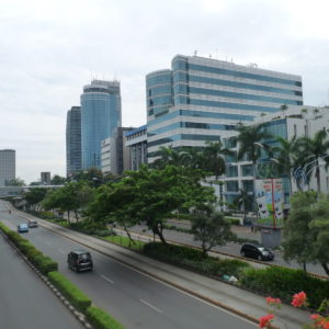 Karet kuningan(photo)