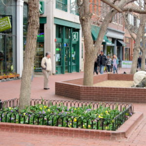 Pearl Street pedestrian zone