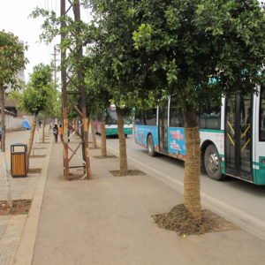 Tower blocking bike lane or pedestrian_Kunming_March2011_MK