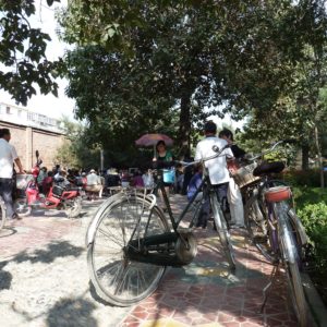 Bikes in Park