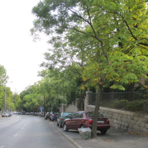 Pest Sidewalk Parking_Budapest_Sept2011_MK